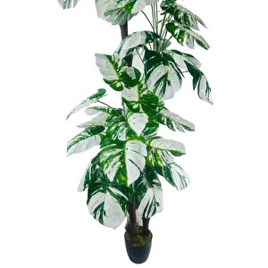 Yapay Çiçek Monstera Yeşil Beyaz Deve Tabanı 3katlı 180cm 54yaprak Siyah Plastik Saksıda Yapay Bitki