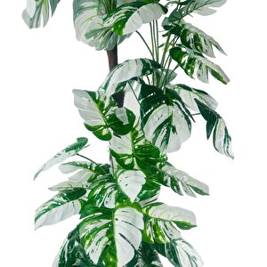 Yapay Çiçek Monstera Yeşil Beyaz Deve Tabanı 3katlı 180cm 54yaprak Siyah Plastik Saksıda Yapay Bitki