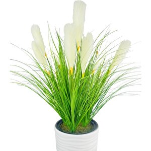Yapay Çiçek Panpas Püskül Salon Bitkisi Beyaz Uzun Kumsal Vazoda 128*60cm