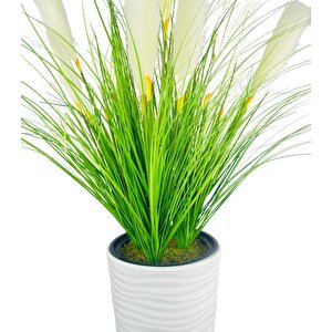 Yapay Çiçek Panpas Püskül Salon Bitkisi Beyaz Uzun Kumsal Vazoda 128*60cm