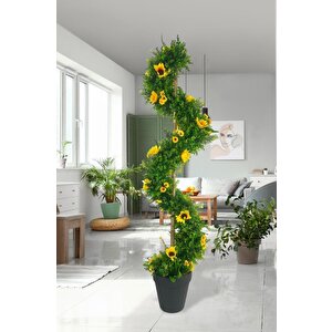 Yapay Ağaç Ay Çiçekli Spiral Şimşir Ağacı 160cm Bambu Saplı Salon Bitkisi
