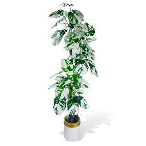 Yapay Çiçek Monstera Yeşil Beyaz Deve Tabanı 3katlı 180cm 54yaprak Altın Kemerli Beyaz Metal Saksı