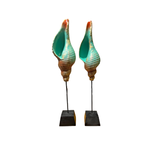 Deniz Kabuğu Polyester Biblo, Renkli, 45x10