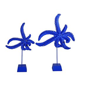 Deni̇z Yıldızı Bi̇blo, Polyester, Mavi̇, 40x20 Mavi