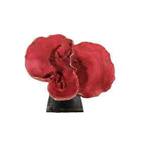 Deni̇z Kulaği Bi̇blo, Polyester, Kırmızı, 25x30 Kırmızı