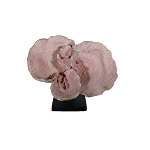Deni̇z Kulaği Bi̇blo, Polyester, Pembe, 25x30 Pembe