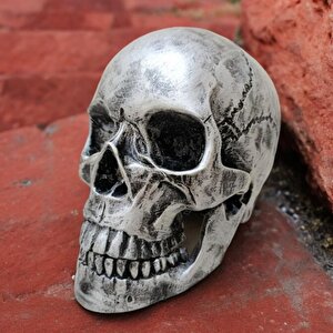 1:1 İnsan Kafası Kafatası Heykeli Dekor Kroki Modeli Heykel Gümüş