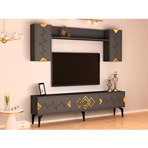 Rittim 180 Cm Tv Ünitesi Takımı Antrasit-Altın Antrasit Gold