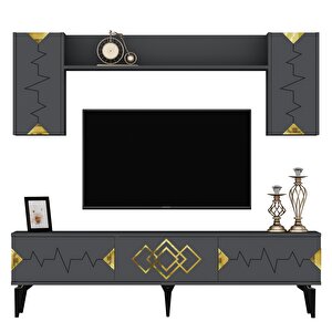 Rittim 180 Cm Tv Ünitesi Takımı Antrasit-Altın