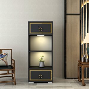 Lissa Ledli  Kitaplık Antrasit-Altın Antrasit Gold
