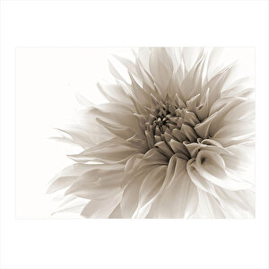 Beyaz Çiçek Model Mdf Tablo 25cmx 35cm 25x35 cm