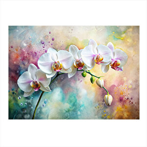 Renkli Fon Beyaz Orkide Modern Mdf Tablo 25cmx 35cm 25x35 cm