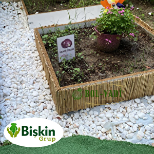 Natural 20cm X 100cm Bambu Kamış Hasır Çit Dekoratif Bahçe Balkon Ve Duvar Çiti Reed Fence