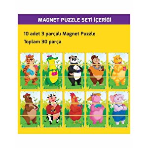 2 Yaş Magnet Puzzle Dikkat Geliştiren Zeka Oyunu Yükselen Zeka