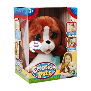 Emotion Pets Evcil Hayvanlar Kızıl Köpekçik