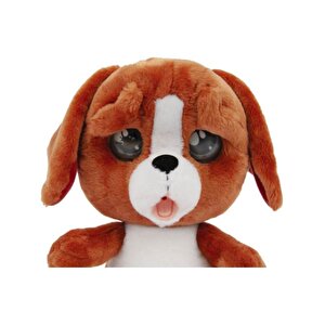 Emotion Pets Evcil Hayvanlar Kızıl Köpekçik