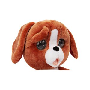 Emotion Pets Evcil Hayvanlar Kızıl Köpekçik