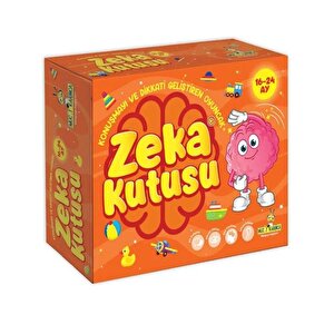 16 24 Ay Zeka Kutusu Konuşmayı Geliştiren Oyuncak Yükselen Zeka