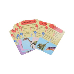 4 Yaş Dinozorlar Sorular Ve Cevaplar Çiçek Yayınları
