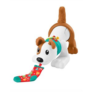 Fisher Price Emeklemeyi Ve Saymayı Öğreten Köpekçik Hhh13