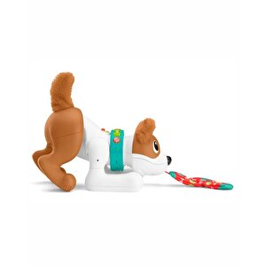 Fisher Price Emeklemeyi Ve Saymayı Öğreten Köpekçik Hhh13