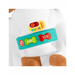 Fisher Price Emeklemeyi Ve Saymayı Öğreten Köpekçik Hhh13