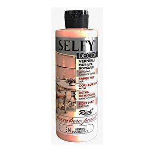 Selfy Decor Vernikli Boya Armoni 240cc
