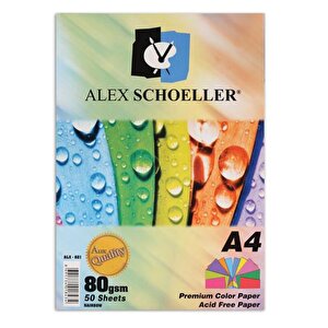 Alex Schoeller Renkli Fotokopi Kağıdı Alx-621 50li