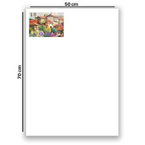 50x70 Cm Tuval