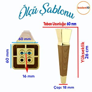 Dempa Lüks Mobilya Kanepe Tv Ünitesi Konsol Koltuk Ayağı Baza Ayakları Açık Kübik Ceviz Altın 26 Cm
