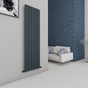 Carisa Chambord Dikey Alüminyum Radyatör Modern Tasarım Antrasit 180x49,5 Cm