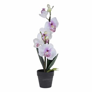 T.concept Yapay Bitki Orkide 38 Cm Beyaz