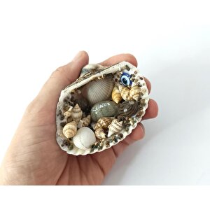 Magnet Deniz Kabuklu Buzdolabı Süsü Nazar Boncuklu Deniz Plaj Magnet