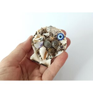 Magnet Deniz Kabuklu Buzdolabı Süsü Nazar Boncuklu Deniz Plaj Magnet