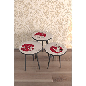 Asian Style 3'lü Desenli̇ Zigon Sehpa