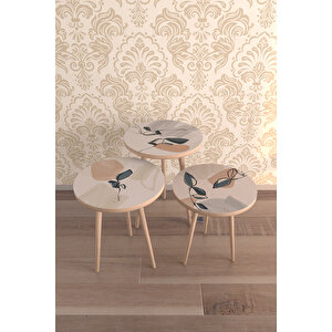 Marie Design 3'lü Desenli̇ Zigon Sehpa