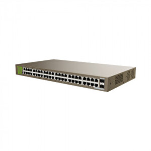 Teg1050f 48port 10/100/1000 Gigabit Switch