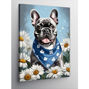 Kanvas Tablo Sevimli Pug Cinsi Köpek 50x70 cm
