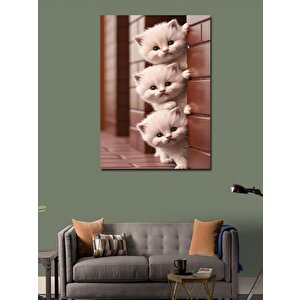 Kanvas Tablo Sevimli Beyaz Yavru Kediler 50x70 cm