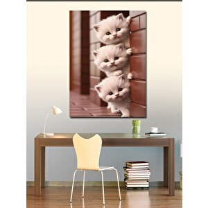 Kanvas Tablo Sevimli Beyaz Yavru Kediler 50x70 cm