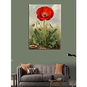 Kanvas Tablo Narin Gelincik Çiçeği 70x100 cm