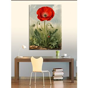 Kanvas Tablo Narin Gelincik Çiçeği 70x100 cm
