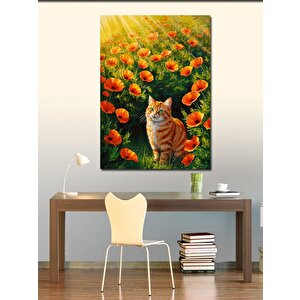 Kanvas Tablo Gelincik Tarlasında Kedi 50x70 cm