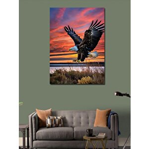 Kanvas Tablo Uçan Kartal 50x70 cm