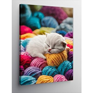 Kanvas Tablo Yavru Kedi Ve Yün 100x140 cm