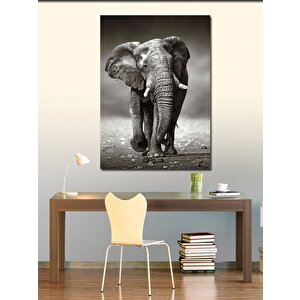 Kanvas Tablo Yürüyen Fil 50x70 cm