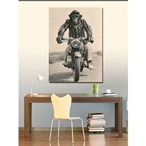 Kanvas Tablo Motosiklet Kullanan Maymun 70x100 cm