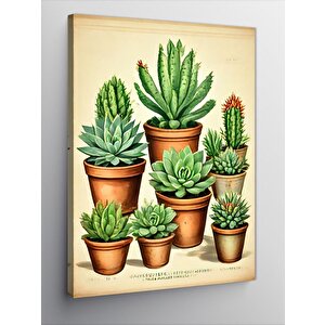 Kanvas Tablo Kaktüs Türleri 70x100 cm