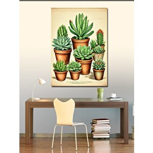 Kanvas Tablo Kaktüs Türleri 70x100 cm