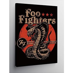 Kanvas Tablo Foo Fighters Album Kapağı 50x70 cm
